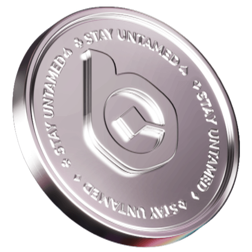 $BC Coin
